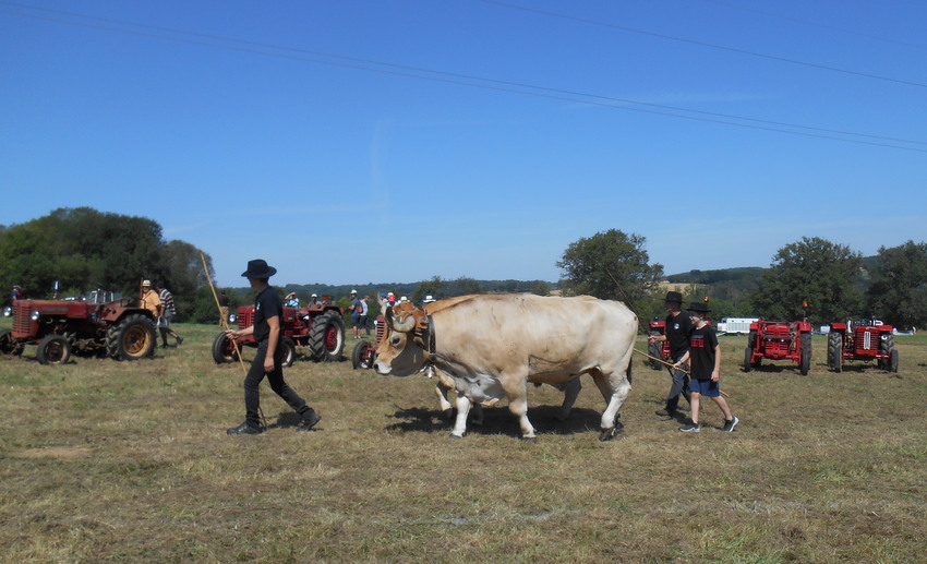 DSCN1835.JPG