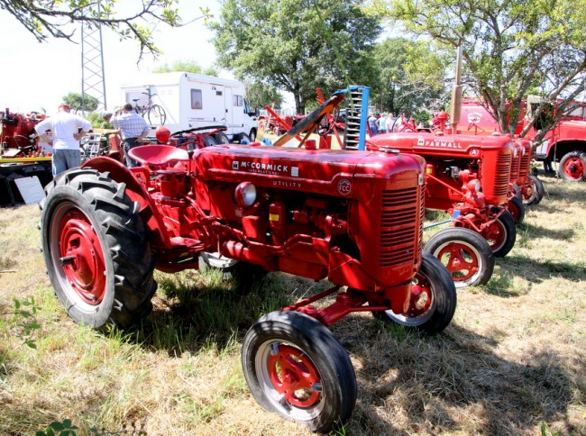 RB0A6205.JPG