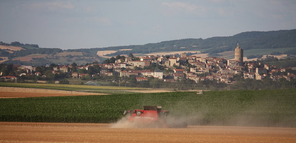 Moisson2019 373.JPG