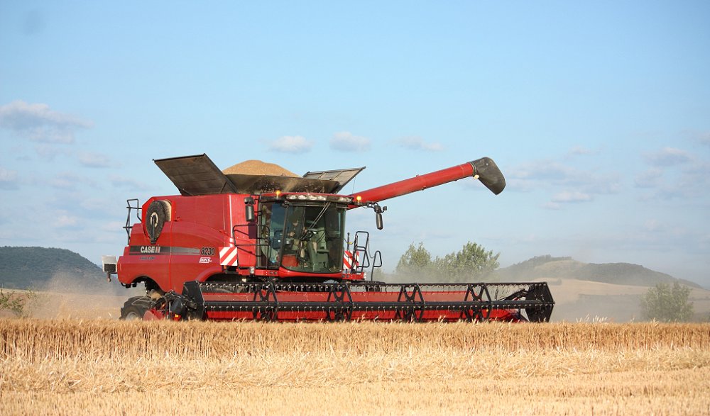 Moisson2019 390.JPG