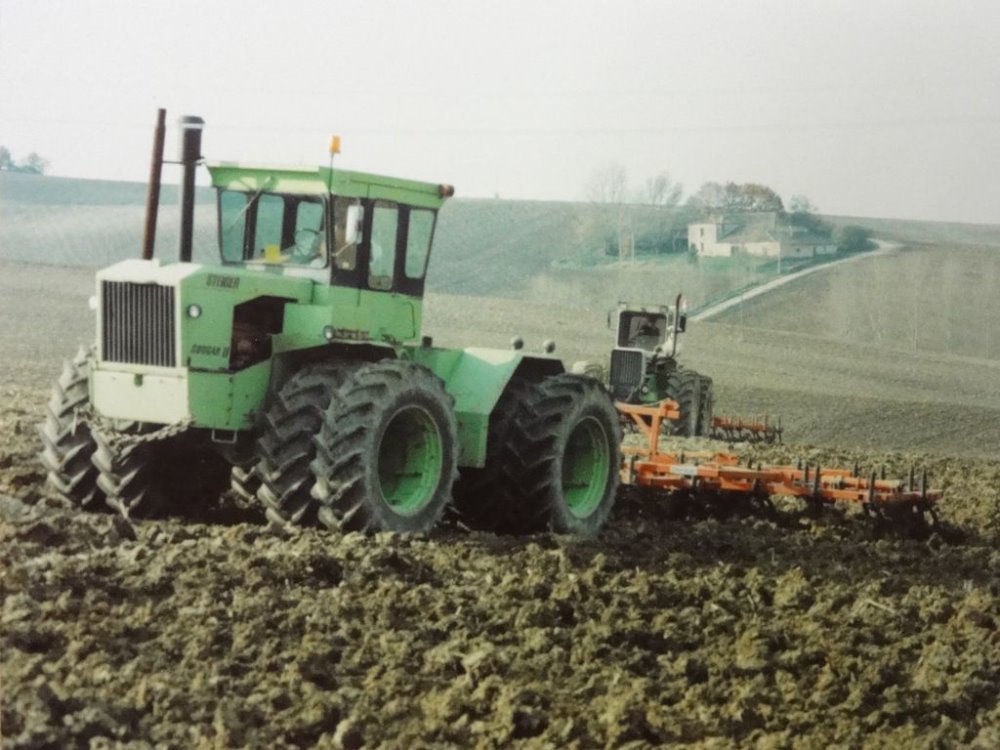 steiger vandel 016.JPG