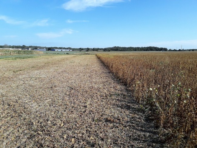 20190918_163635.jpg