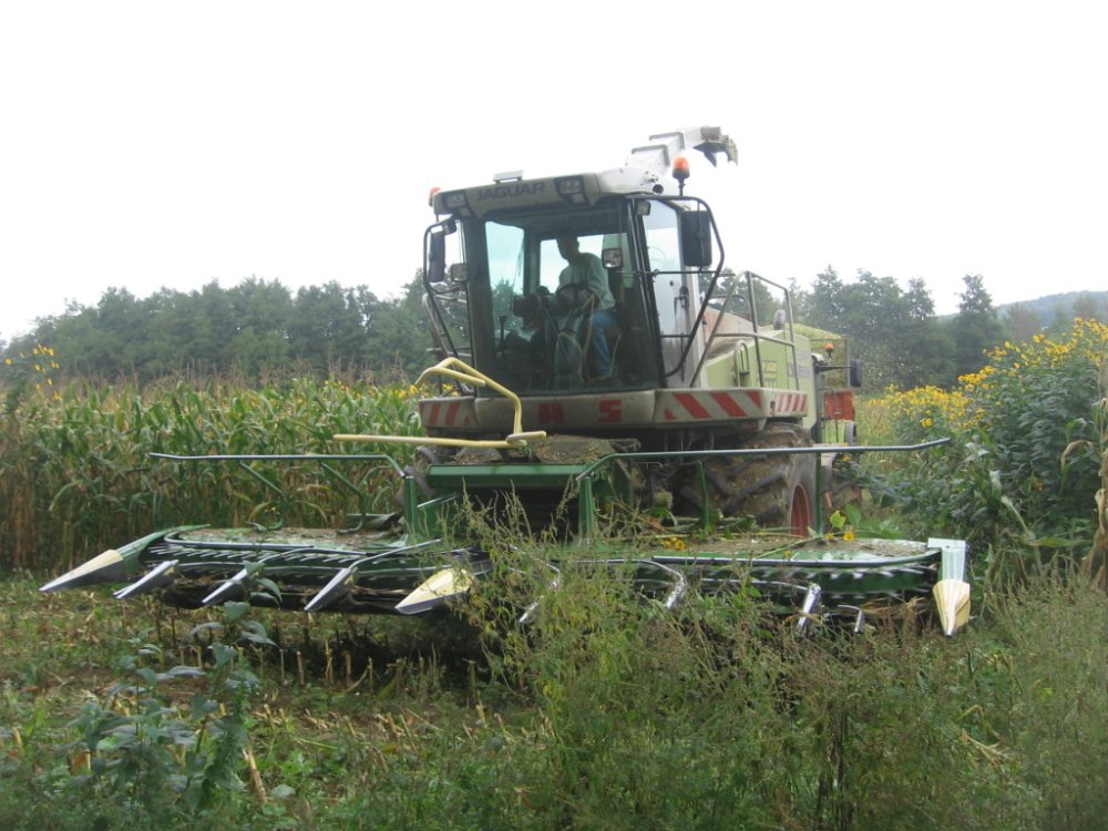 Ensilage maïs 3 023.JPG