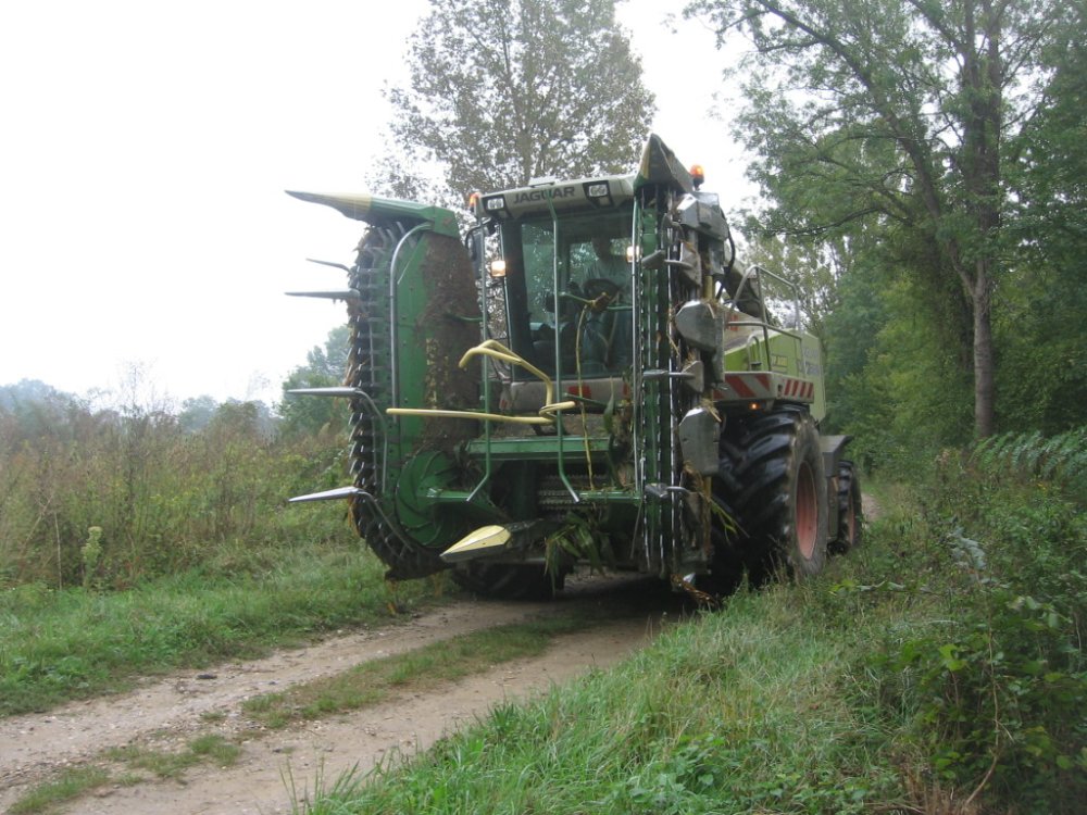 Ensilage maïs 3 006.JPG