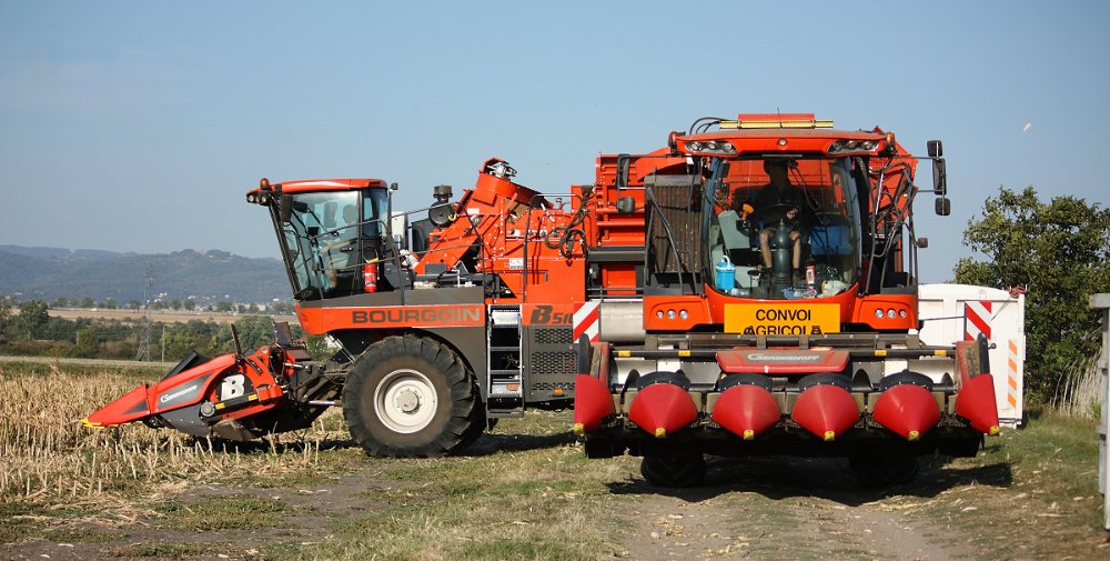 Moisson2019 002.JPG