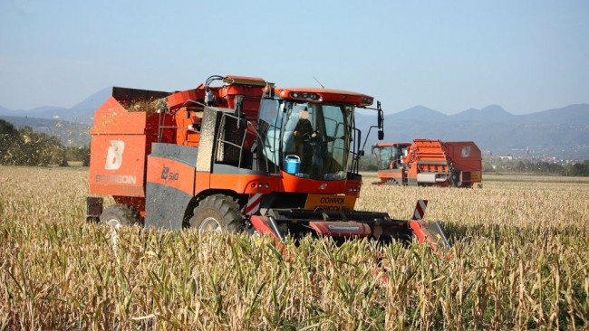 Moisson2019 008.JPG