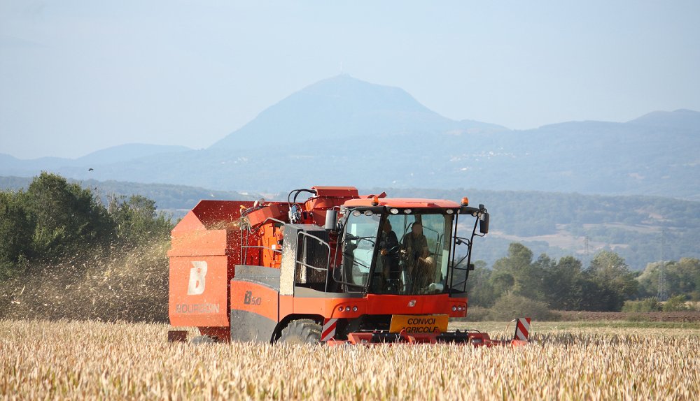 Moisson2019 011.JPG