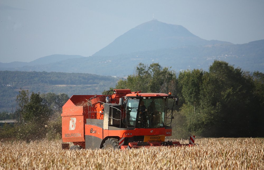Moisson2019 022.JPG