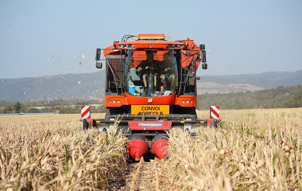 Moisson2019 051.JPG