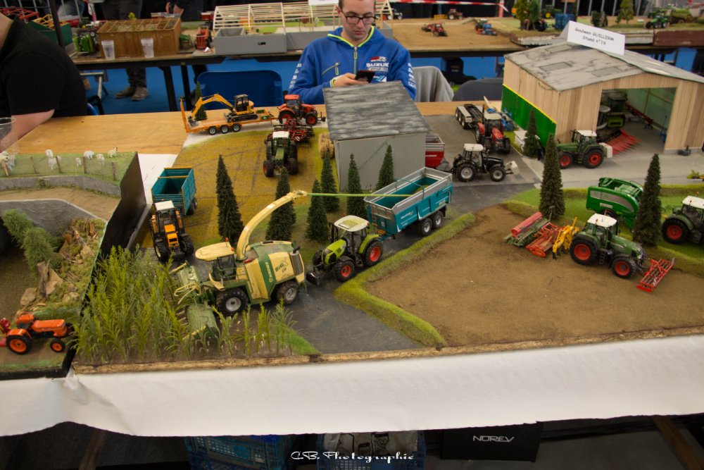 IMG_8447.jpg