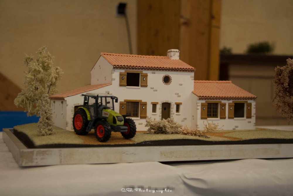 IMG_8520.jpg