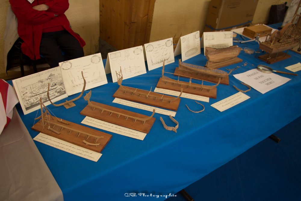 IMG_8271.jpg