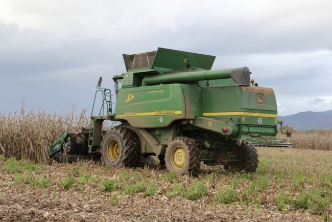 RB0A1612.JPG