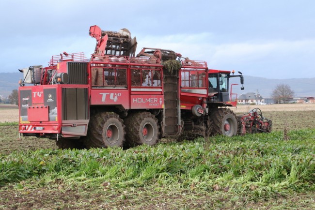 RB0A1765.JPG