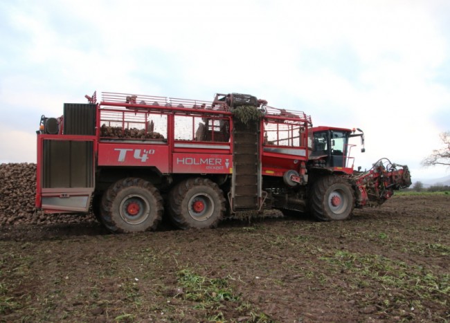 RB0A1774.JPG