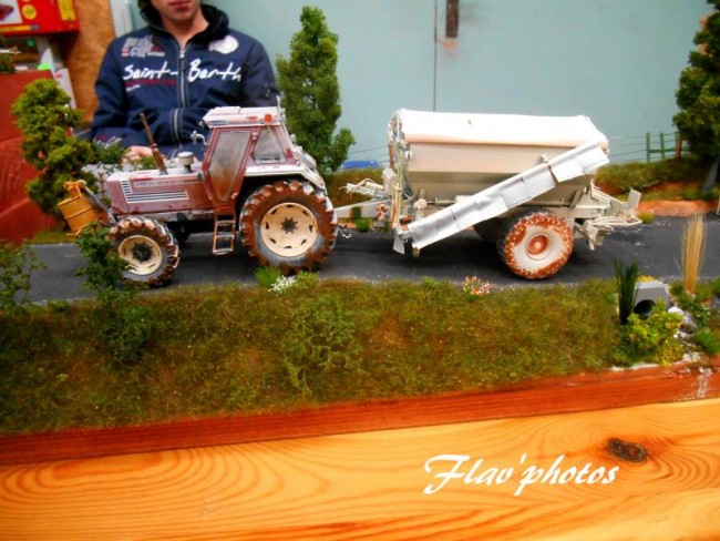 DSCN2552 - Copie.JPG
