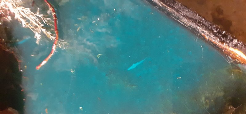20191228_210925[1].jpg