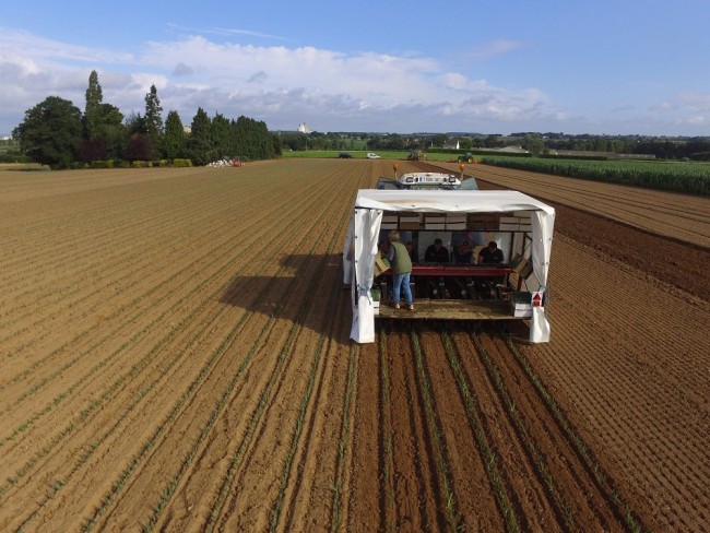 DJI_0012.JPG