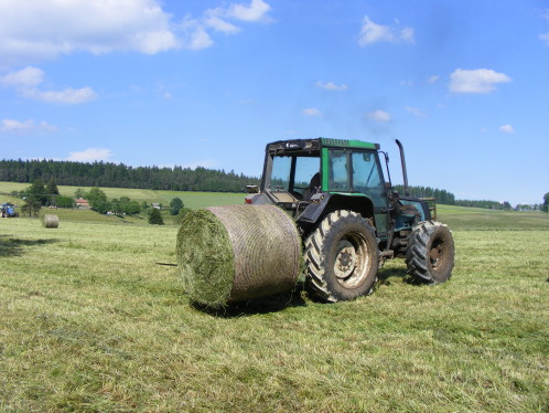 DSCF9893.JPG