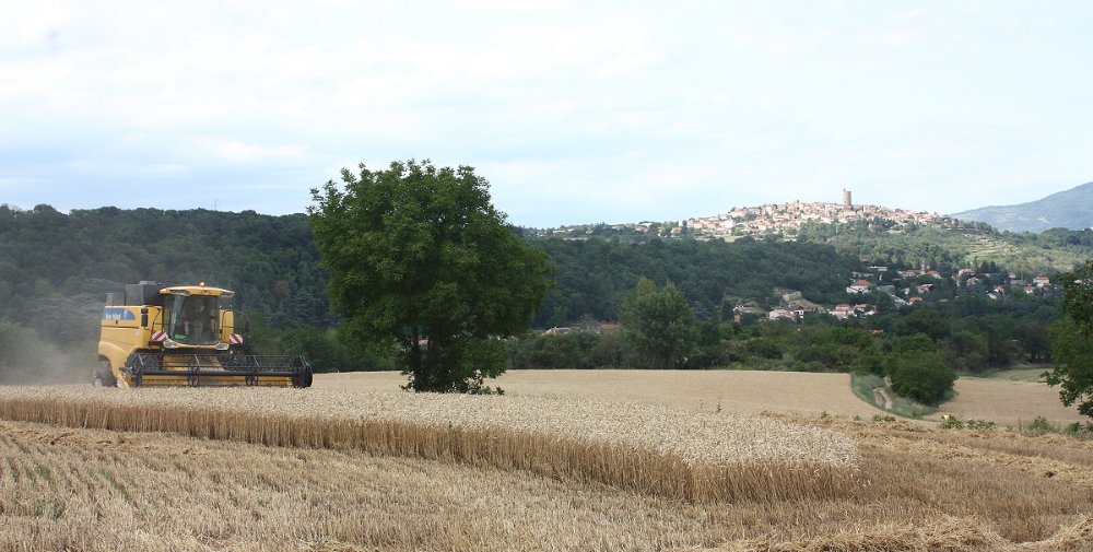 Moisson2020 066.JPG