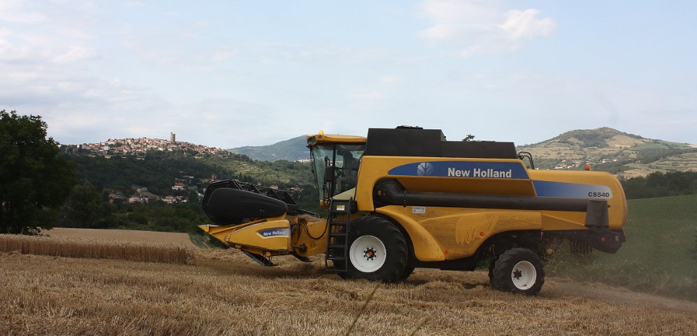 Moisson2020 069.JPG