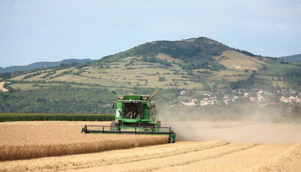 Moisson2020 078.JPG