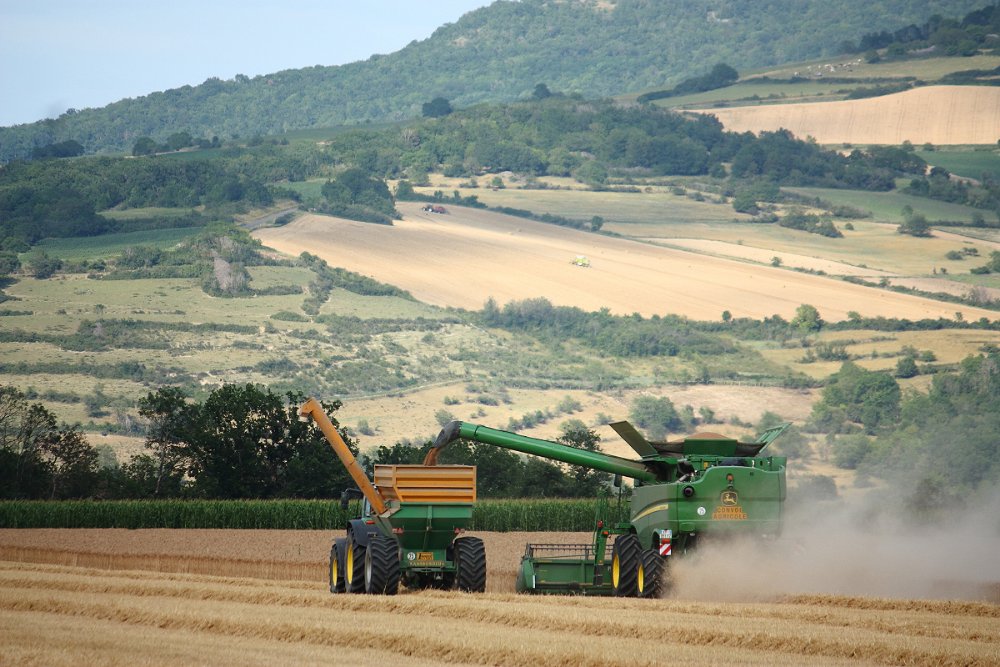 Moisson2020 082.JPG
