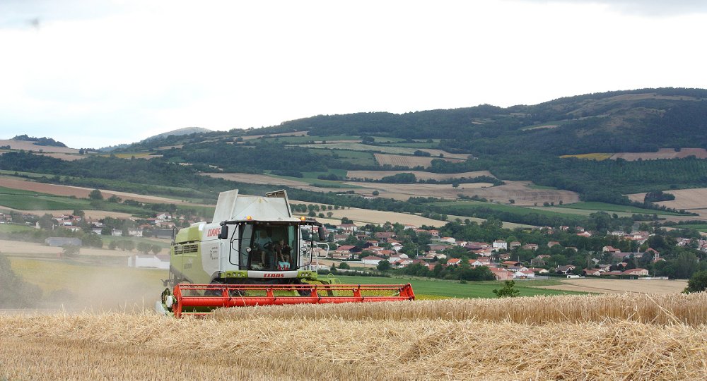 Moisson2020 102.JPG
