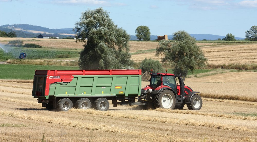 Moisson2020 107.JPG