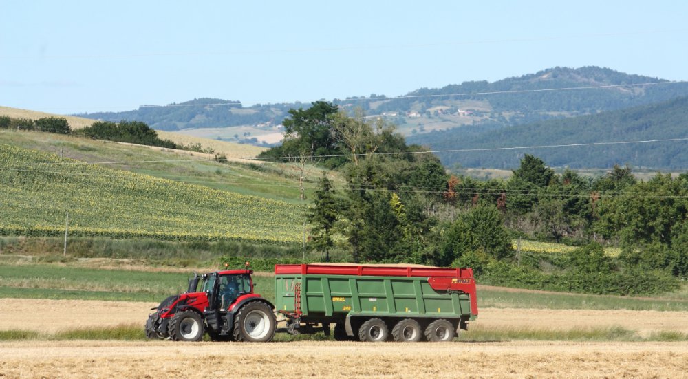 Moisson2020 116.JPG