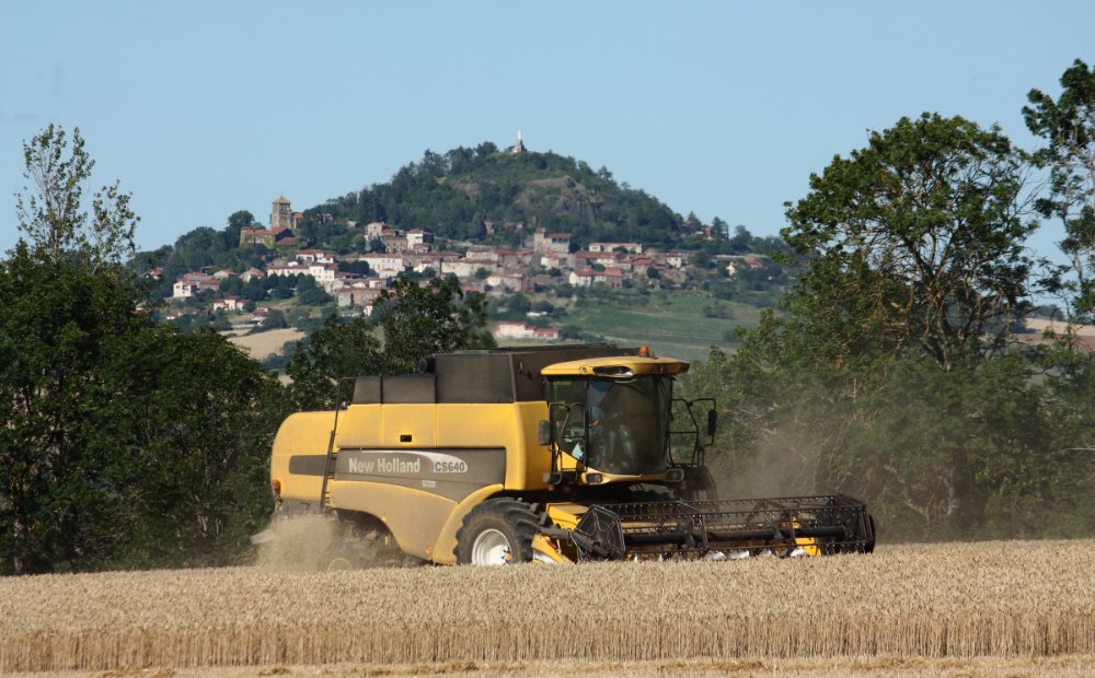 Moisson2020 123.JPG