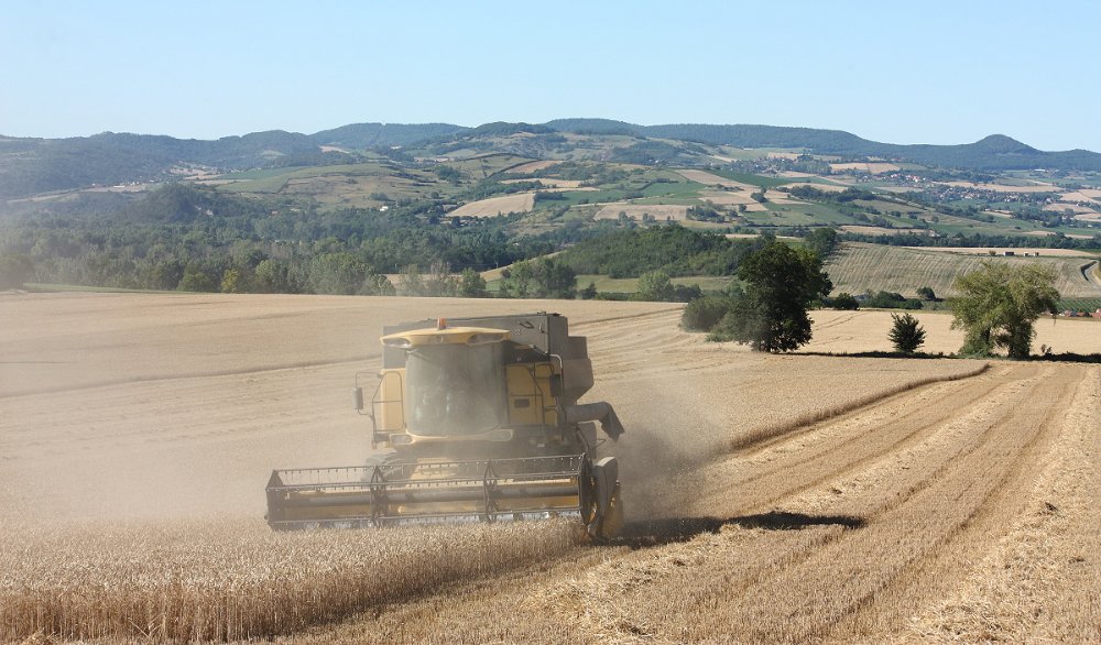 Moisson2020 124.JPG