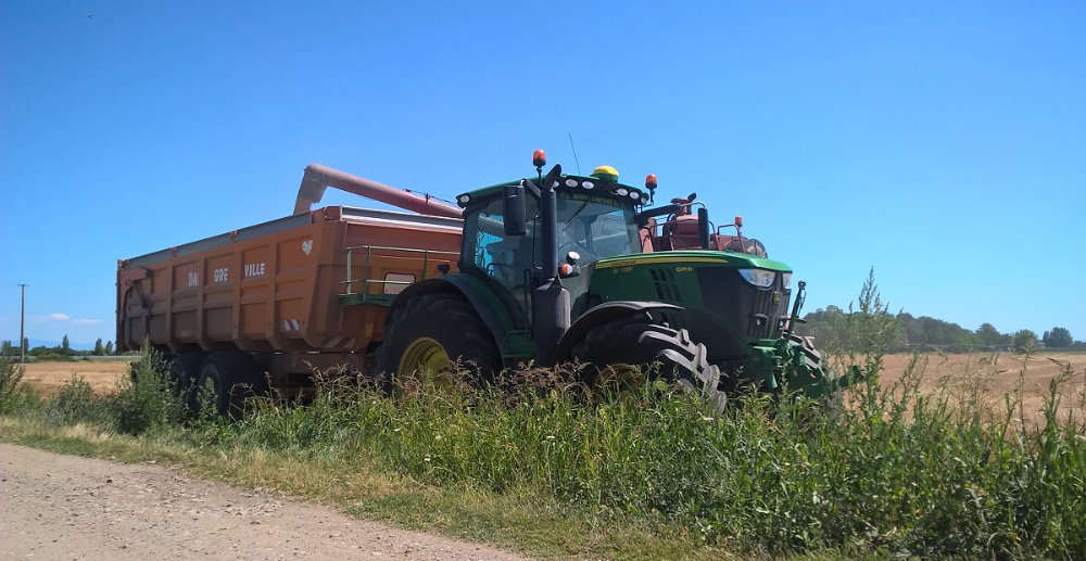 Moisson2020 136b.JPG