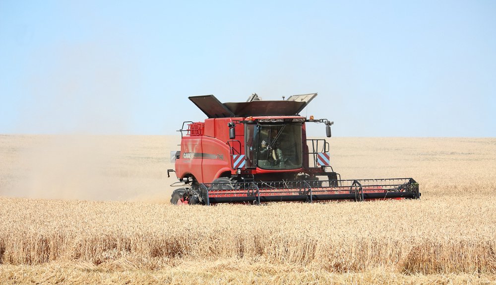 Moisson2020 142.JPG