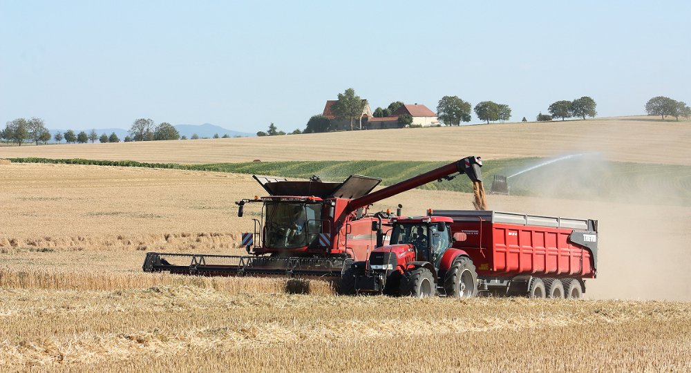 Moisson2020 152.JPG