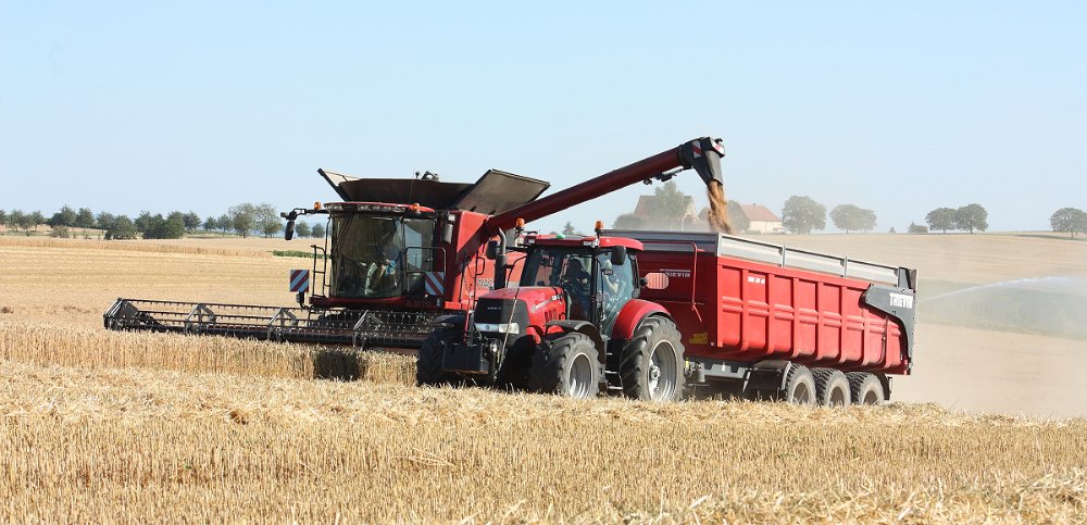 Moisson2020 153.JPG