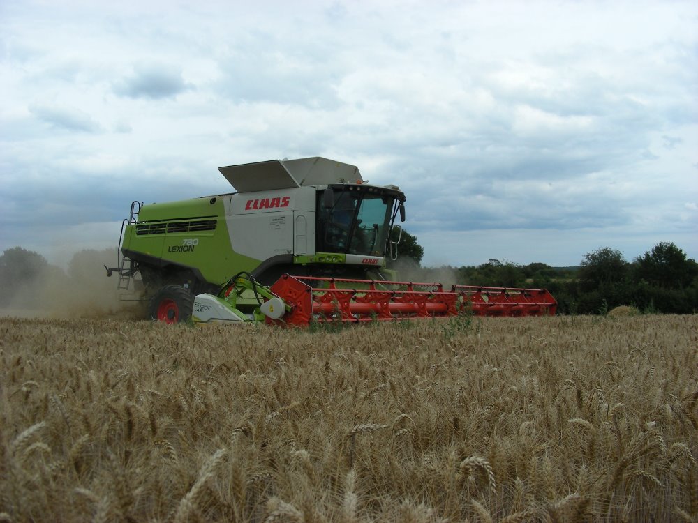 Claas Lexion 780 (3).JPG