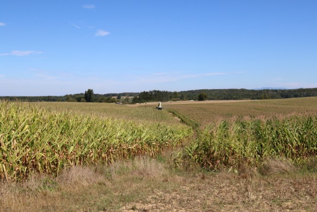 RB0A6606.JPG (339.25 Kio) Vu 5530 fois RB0A6606.JPG