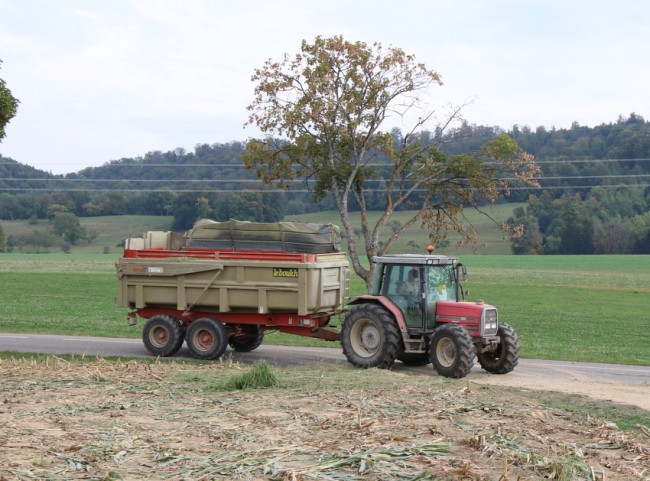 RB0A7052.JPG