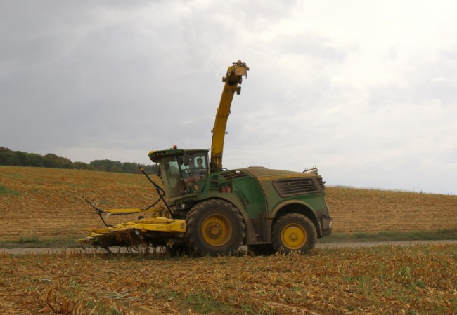RB0A7310.JPG