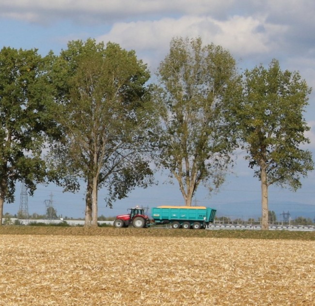 RB0A7186.JPG