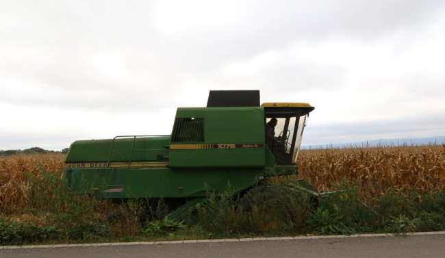RB0A7956.JPG