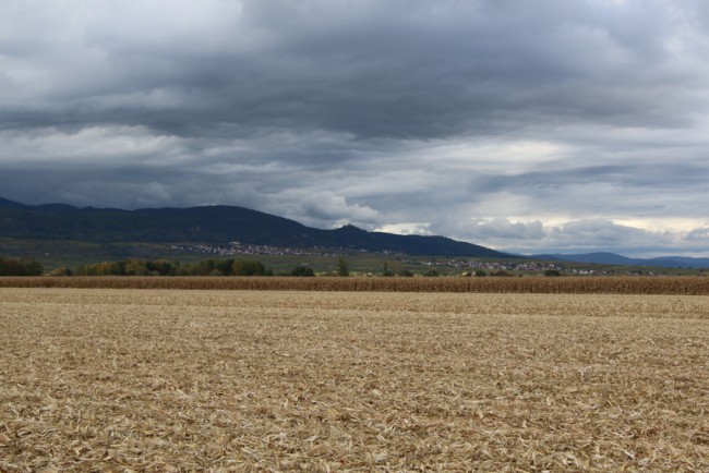 RB0A7809.JPG