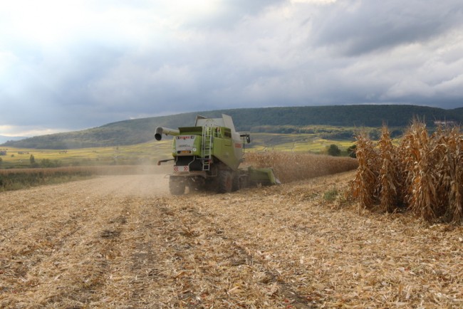 RB0A7815.JPG