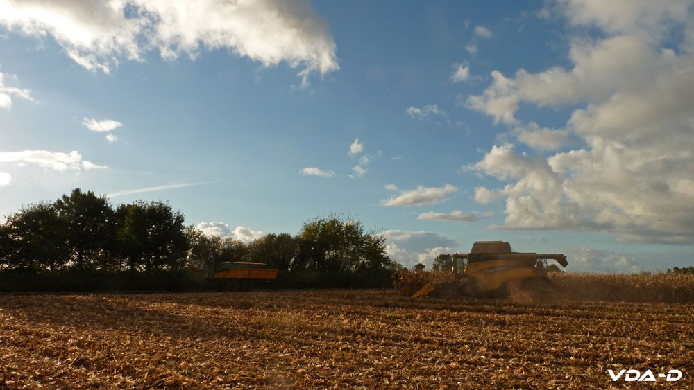 P1150891 copie.jpg