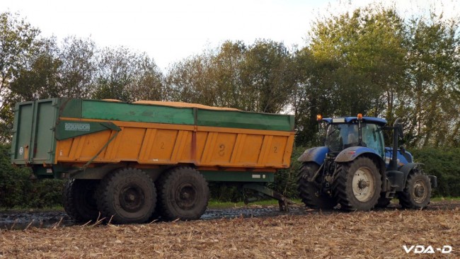 P1150895 copie.jpg
