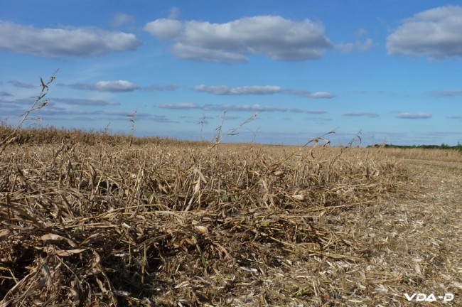 P1150918 copie.jpg