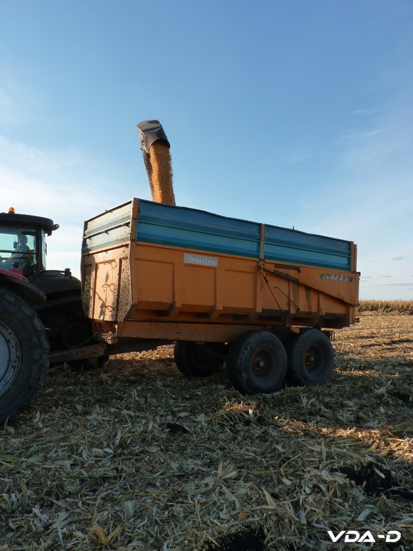P1150949 copie.jpg