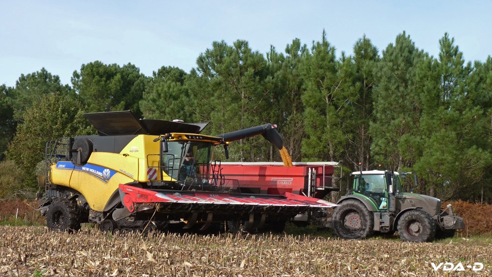 P1150973 copie.jpg