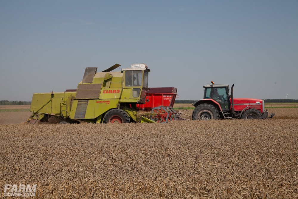 Claas Mercator 75-4487.jpg